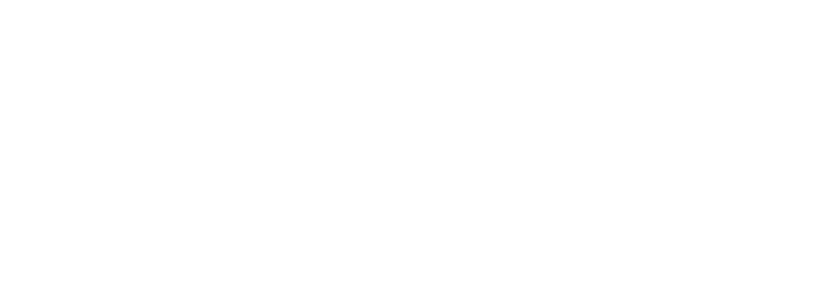 Angie Wisdom Keynote Speaker